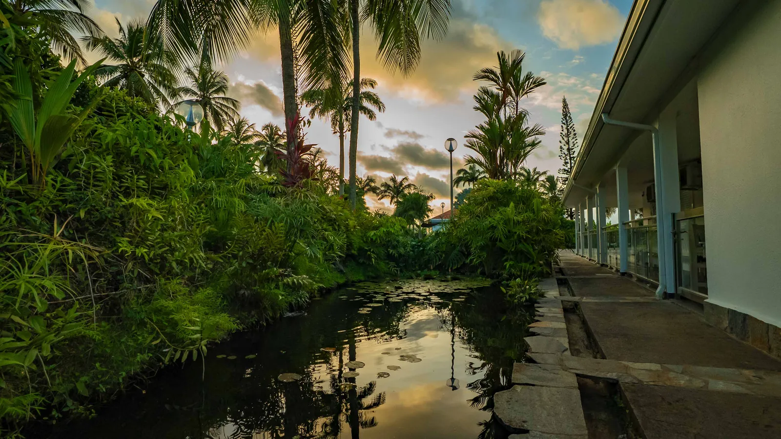 Le bassin à koïs le long de la galerie couverte, ciel doré