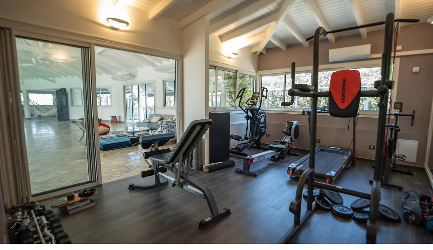 La salle de sport : mur miroir, tapis de course, elliptique, rameur et chaise romaine